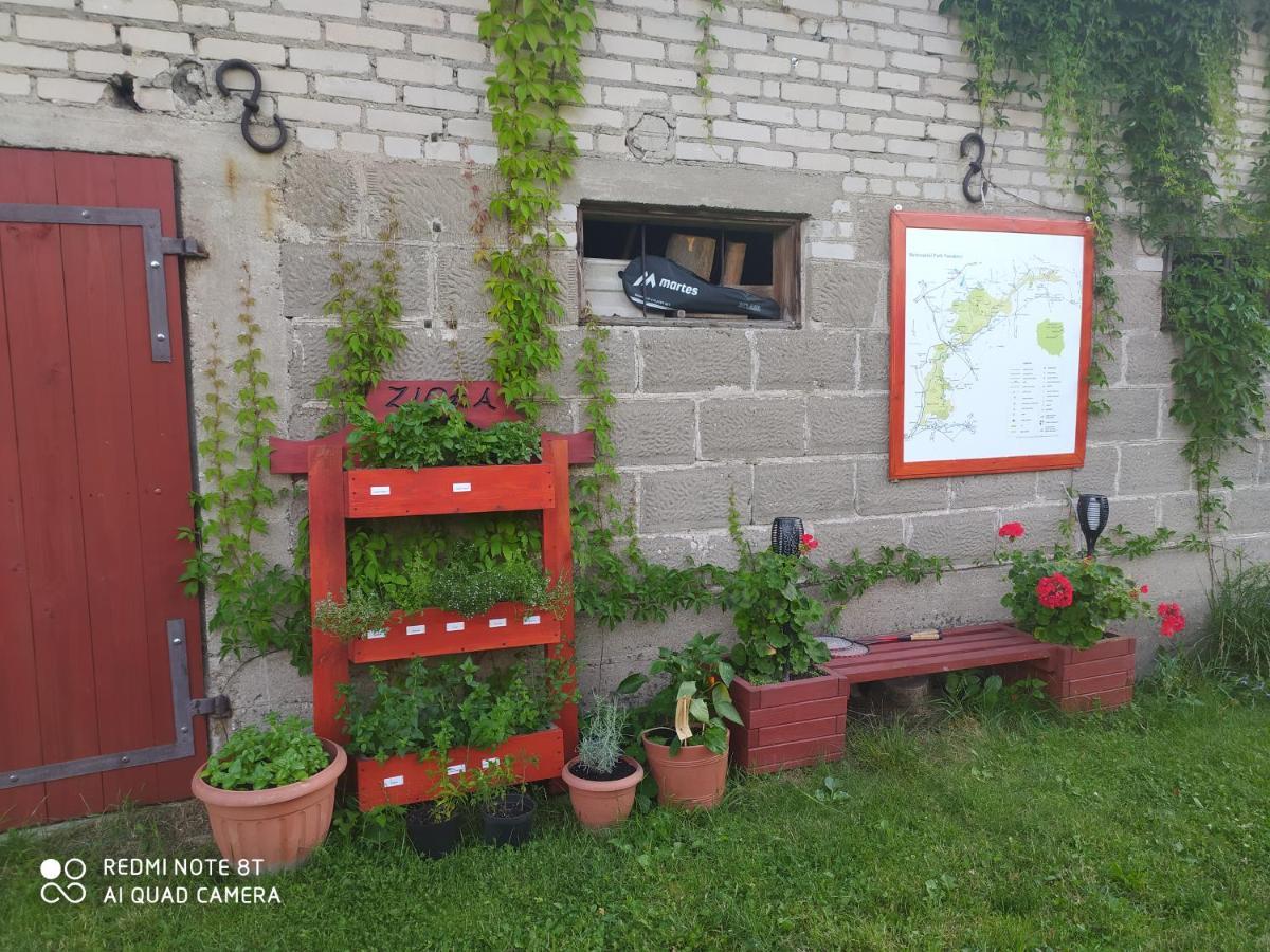 Dolistowka: Apartamenty z Jacuzzi, Ogrodem i Placem Zabaw Goniadz Exterior photo